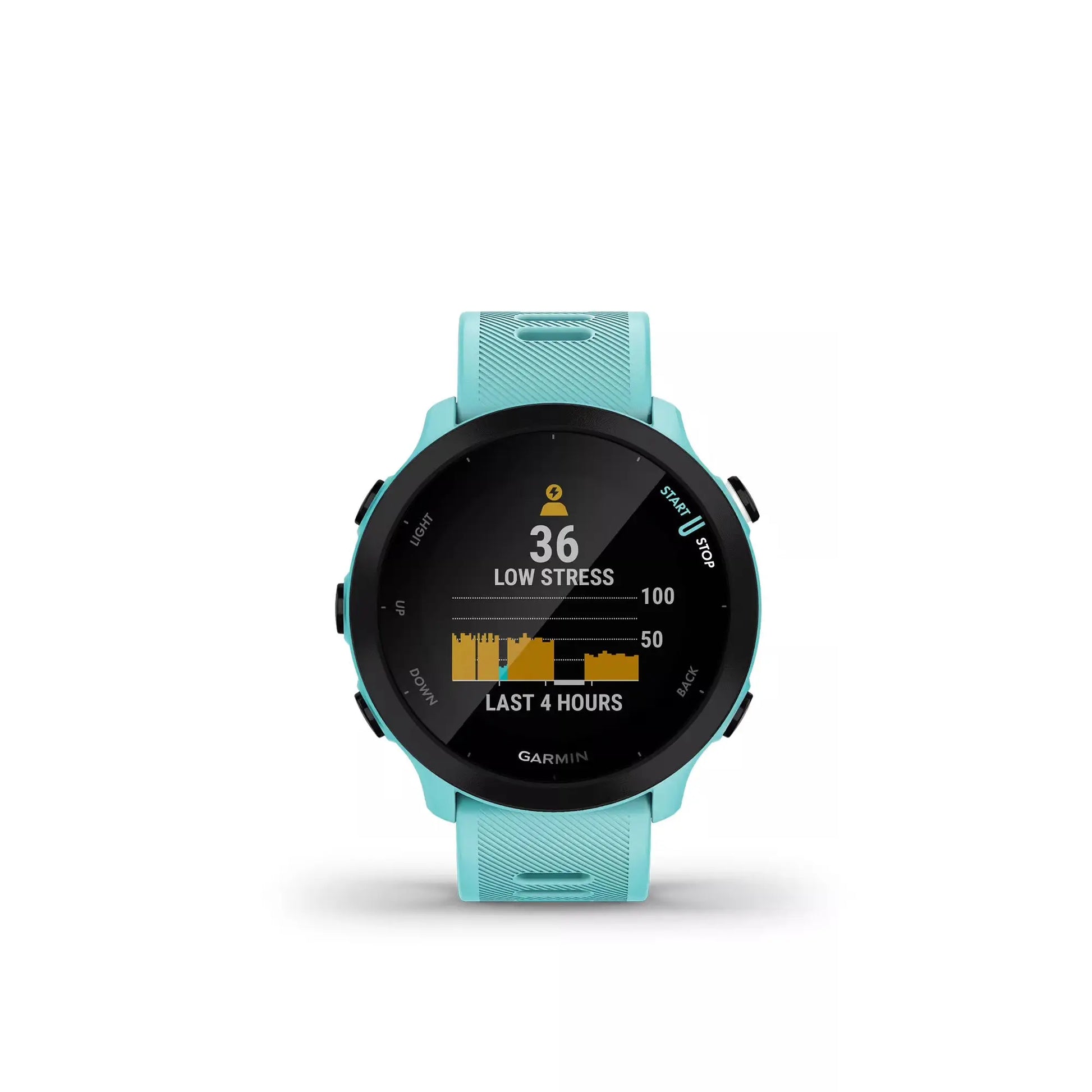 GARMIN Forerunner 55, GPS Running Watch with Daily Suggested Workouts, Up to 2 Weeks of Battery Life Dabbakhul